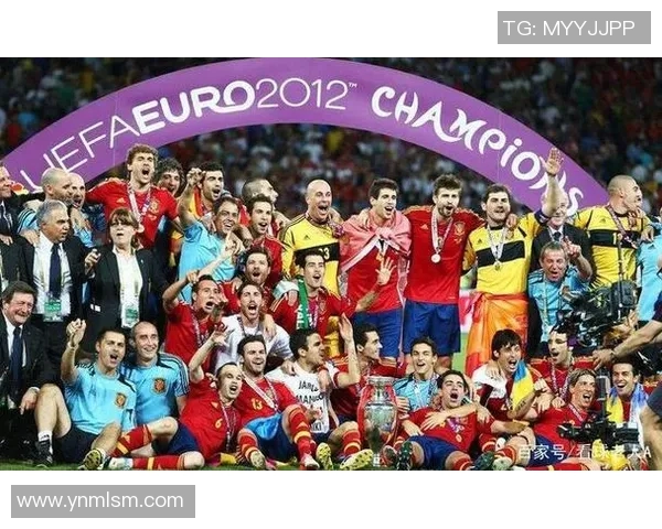 2012欧洲杯冠军全景回顾与精彩瞬间分析