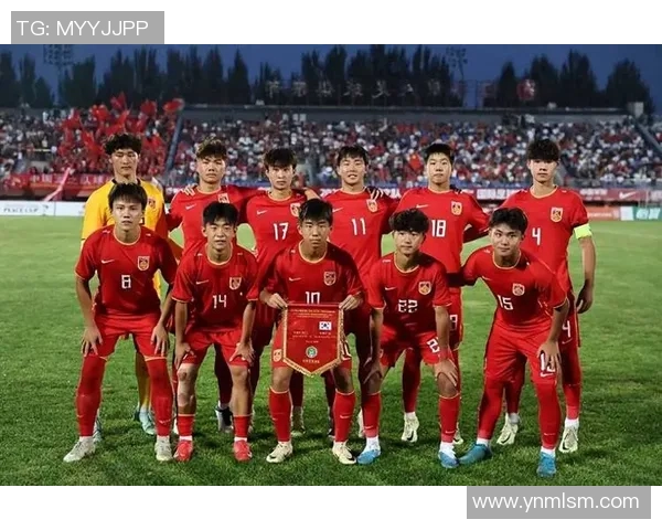 2011年亚洲杯国足表现回顾与战绩分析揭示球队发展潜力与挑战